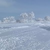 北海道大人のスノーボーダーのたまり場