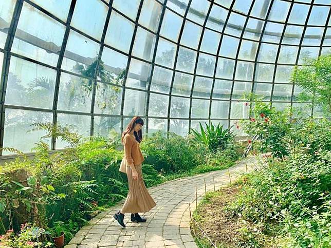 圖片來源 IG @liliantsaily