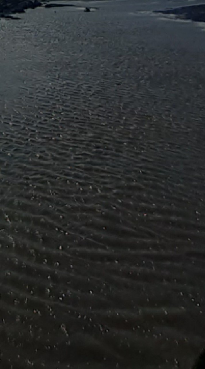 ㄊㄊ魚的 天秤 群組入口