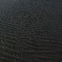 ㄊㄊ魚的 天秤 群組入口