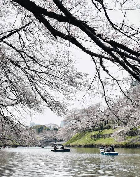 Mengintip Proses Prewedding Dion Wiyoko - Fiona di Jepang, Seru!