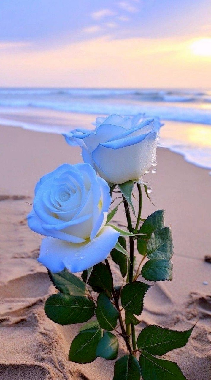 💞ศาลาพักใจ🌿💞🌾เหงาเมื่อไหร่ก็แวะมา🌿💗🌾