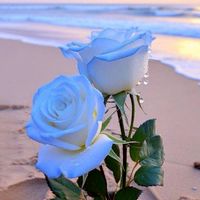 💞ศาลาพักใจ🌿💞🌾เหงาเมื่อไหร่ก็แวะมา🌿💗🌾