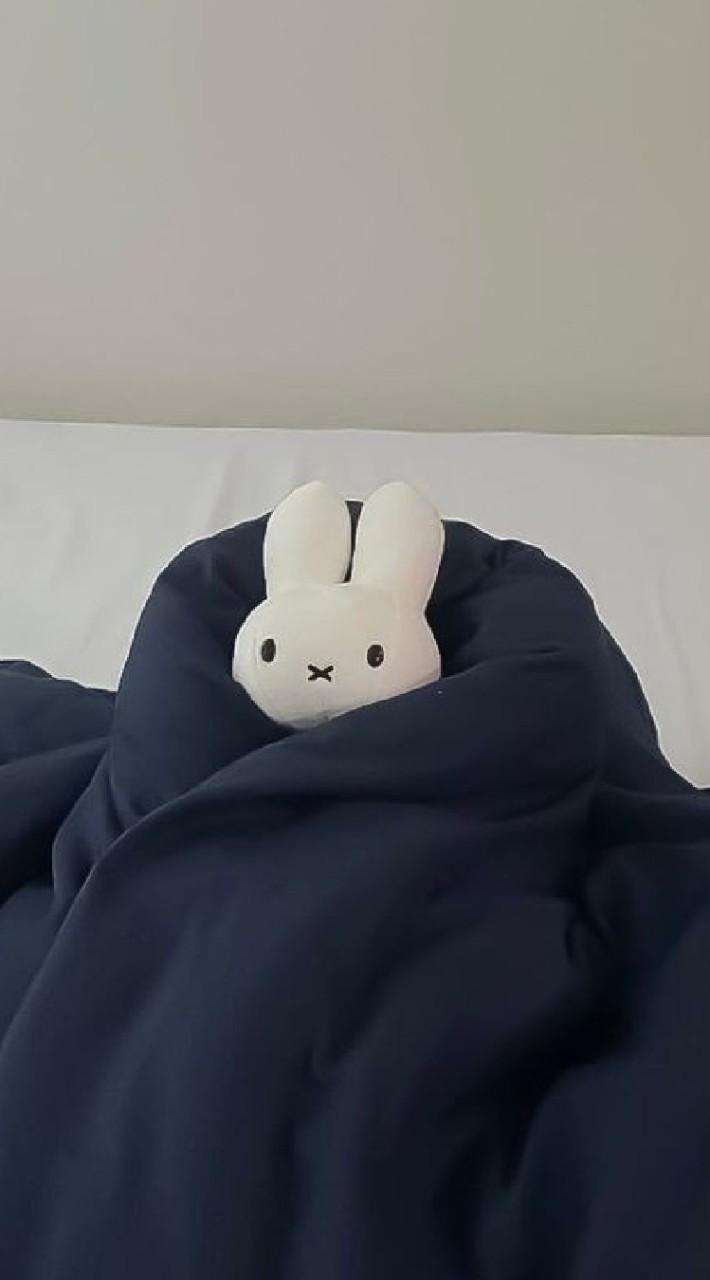ลูกทีมทำเมล ᴊᴀʏɴᴀ ⋆*💒✧. OpenChat