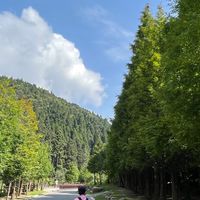 山林知性交流