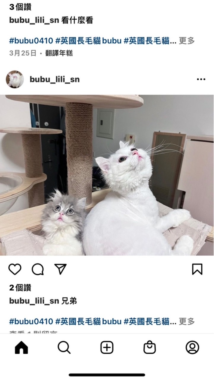 你妳的夜晚小檯燈