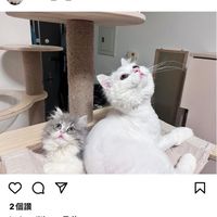 你妳的夜晚小檯燈