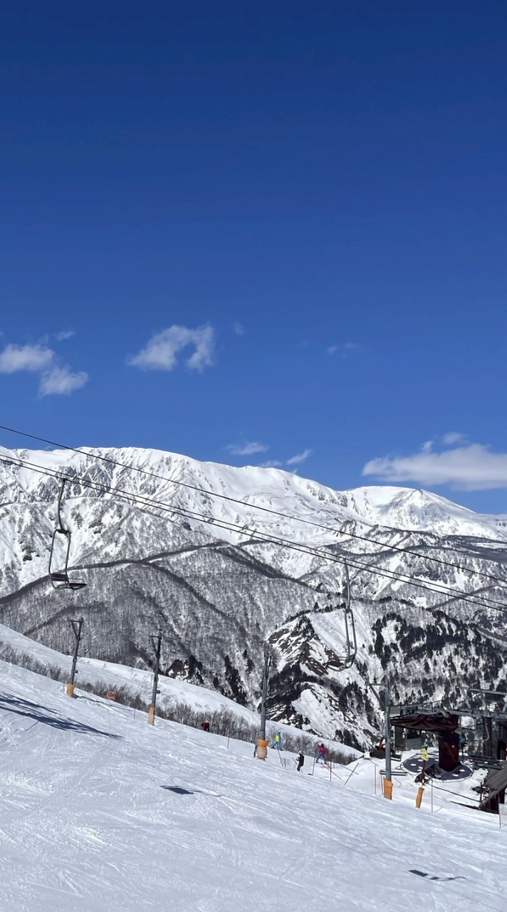 🏔️26卒入社NSDメンバー