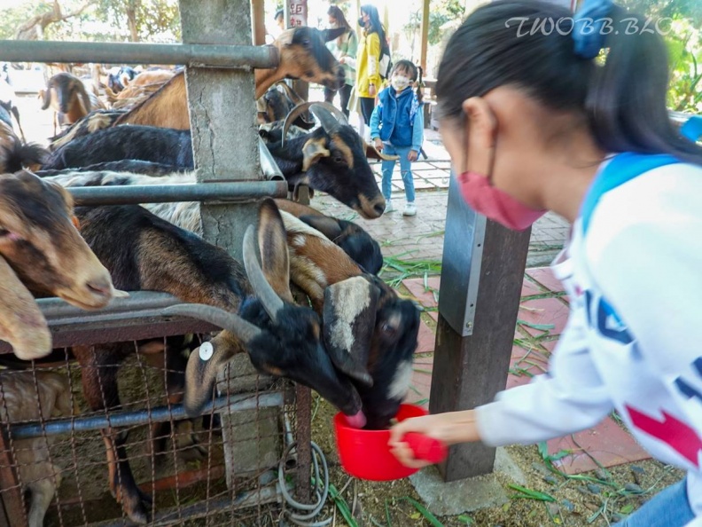 爸媽周末免煩惱！台中10大最強親子景點：破千坪室內樂園、免門票小小駕訓班