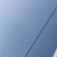 歌と雑談しよーう‼️