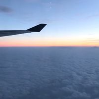 HF快樂旅遊