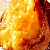 焼き芋作り手の相談＆雑談【yakiimo.life】