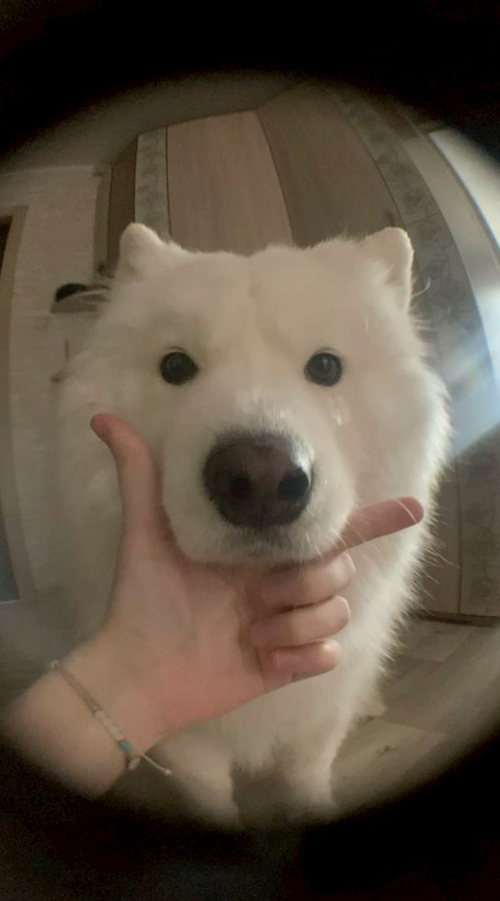 ɐı̣uǝX的窩𓈒 𓏸𓈒𓂂
