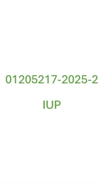 01205217-2025-2-IUP