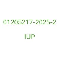 01205217-2025-2-IUP