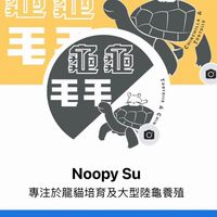 龜龜毛毛龍貓狐獴工廠