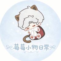 𐙚 ˚ 莓莓小物日常˚ 𐙚