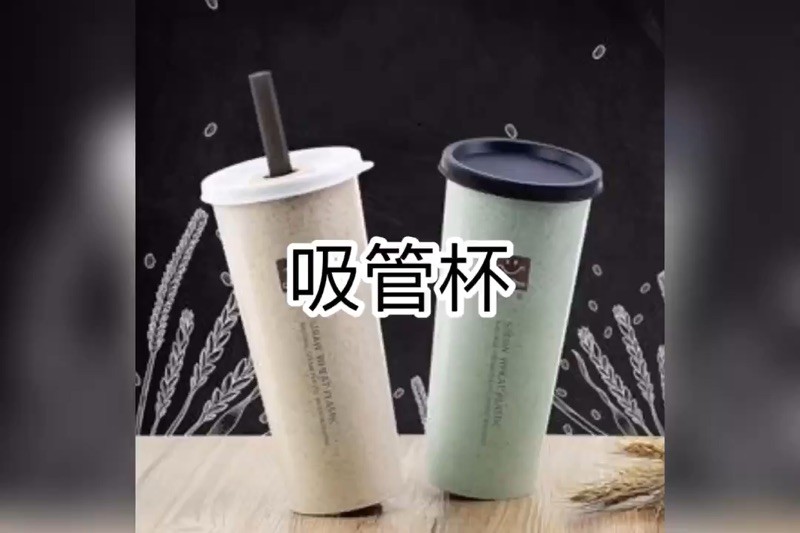 小麥桿環保系列 吸管杯 隨行杯 珍珠奶茶 大吸管 環保杯