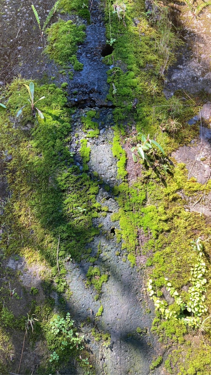 🌿款款生活｜家_與大地共存的幸福樣貌