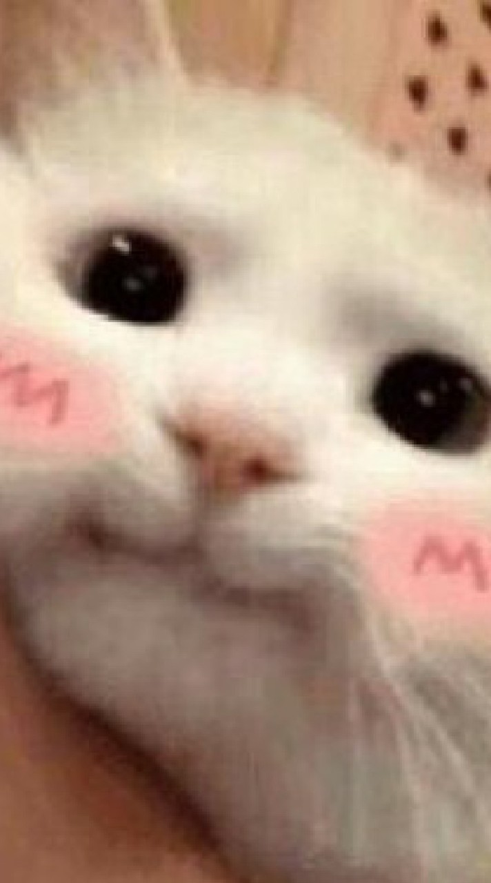 คุยเล่นๆหนุกๆ