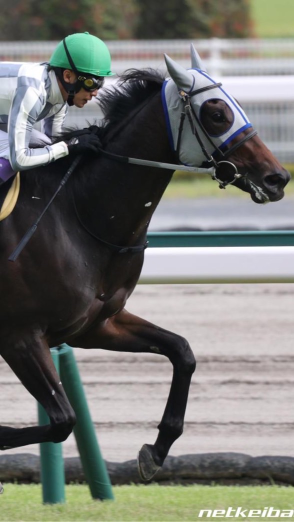 ギャンブルするよー🤡のオープンチャット