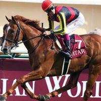 競馬   おっさんの爆裂予想♡