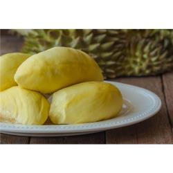 ◎嚴選泰國特A級金枕頭榴槤br口感柔滑綿密，甜而不膩|◎|◎•主商品：榴槤王冷凍榴槤(300公克/盒)*4盒•重量：300公克/盒•成分：榴槤•產地：泰國•保存期限：24個月•保存方式：請保存於-18