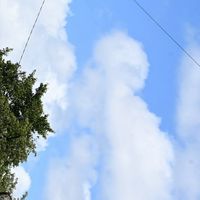成鎌身内雑談部屋