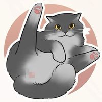 灰貓onlyfans二代目