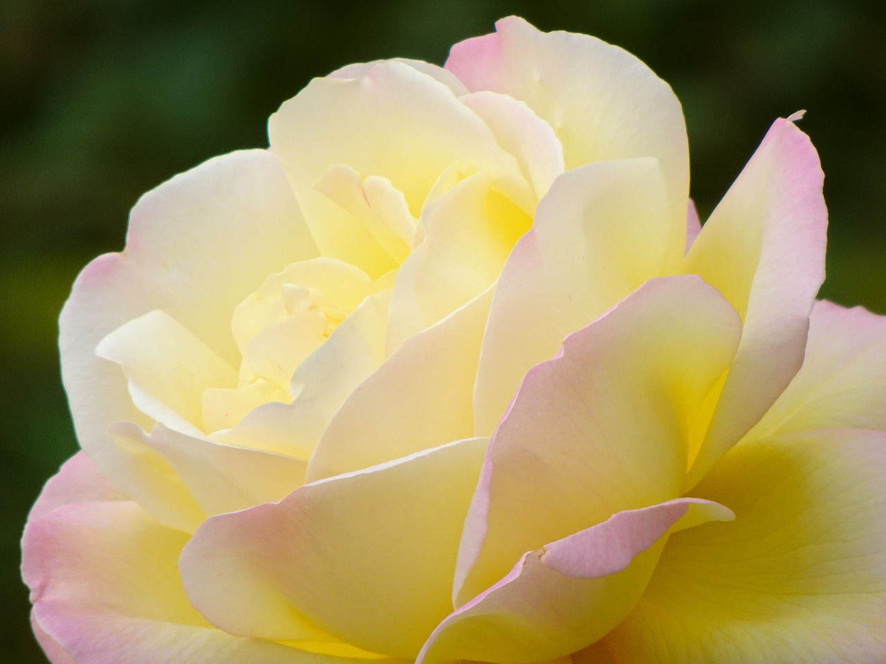 世界最輕巧，28 倍變焦的掌中長砲 Sony DSC-HX99 實拍評測