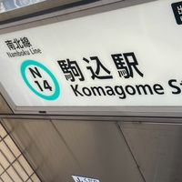 東大駒込同好会（TKD）