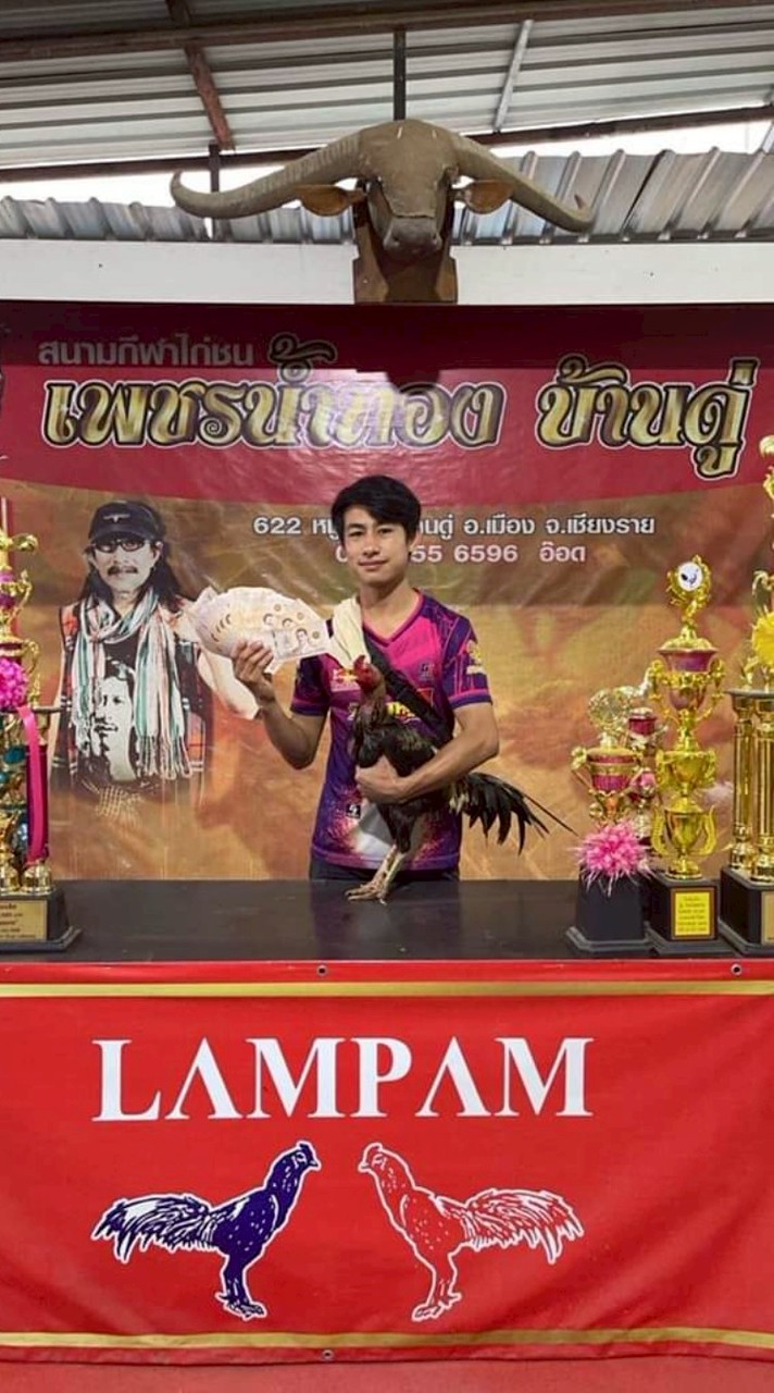 ซุ้มเจสายเหนือแม่สาย เชียงราย