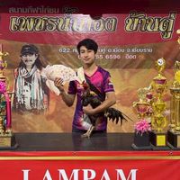 ซุ้มเจสายเหนือแม่สาย เชียงราย