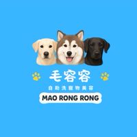 毛容容自助洗寵物美容