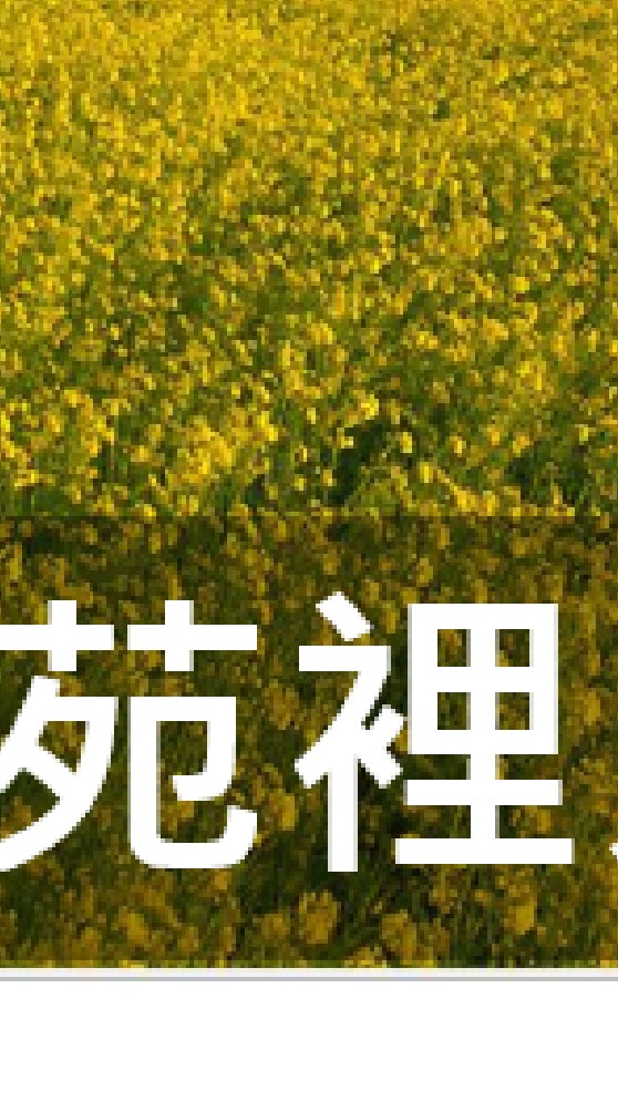 我是苑裡人