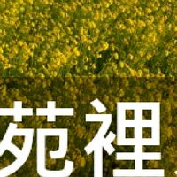 我是苑裡人
