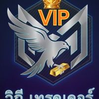 กลุ่มซิก(VIP) วิถี เทรดเดอร์ (กลุ่ม 3)