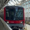JR東日本、JR東日本バス、東武鉄道と東武バスとポーランドボール、カントリーボールの集合（なりきり