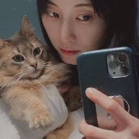 วง 🌸AKB48🌸