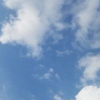 九州30～50代🐒愉しく雑談
