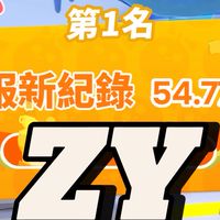 ZY戰隊群