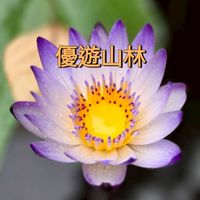 優遊山林
