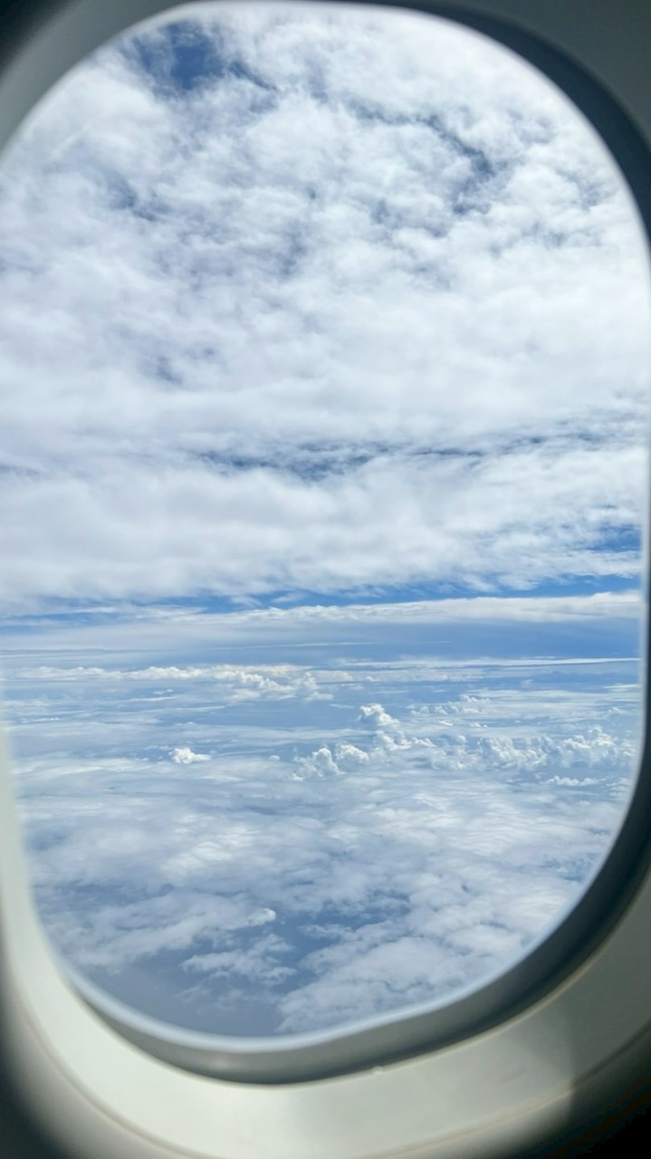 米菲🎀日本代購服務群組（藥妝、玩具）