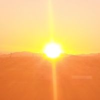 うつ病・双極性障害の方の日向ぼっこ