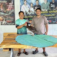 ซุ้มส สิทธิวัฒน์ฟาร์ม