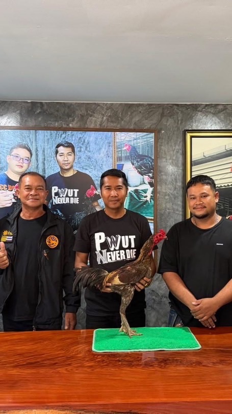 ซุ้มส สิทธิวัฒน์ฟาร์ม