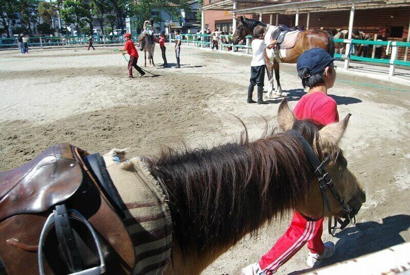 都内 無料で動物ふれあいが楽しめるスポット 乗馬も多数 前編