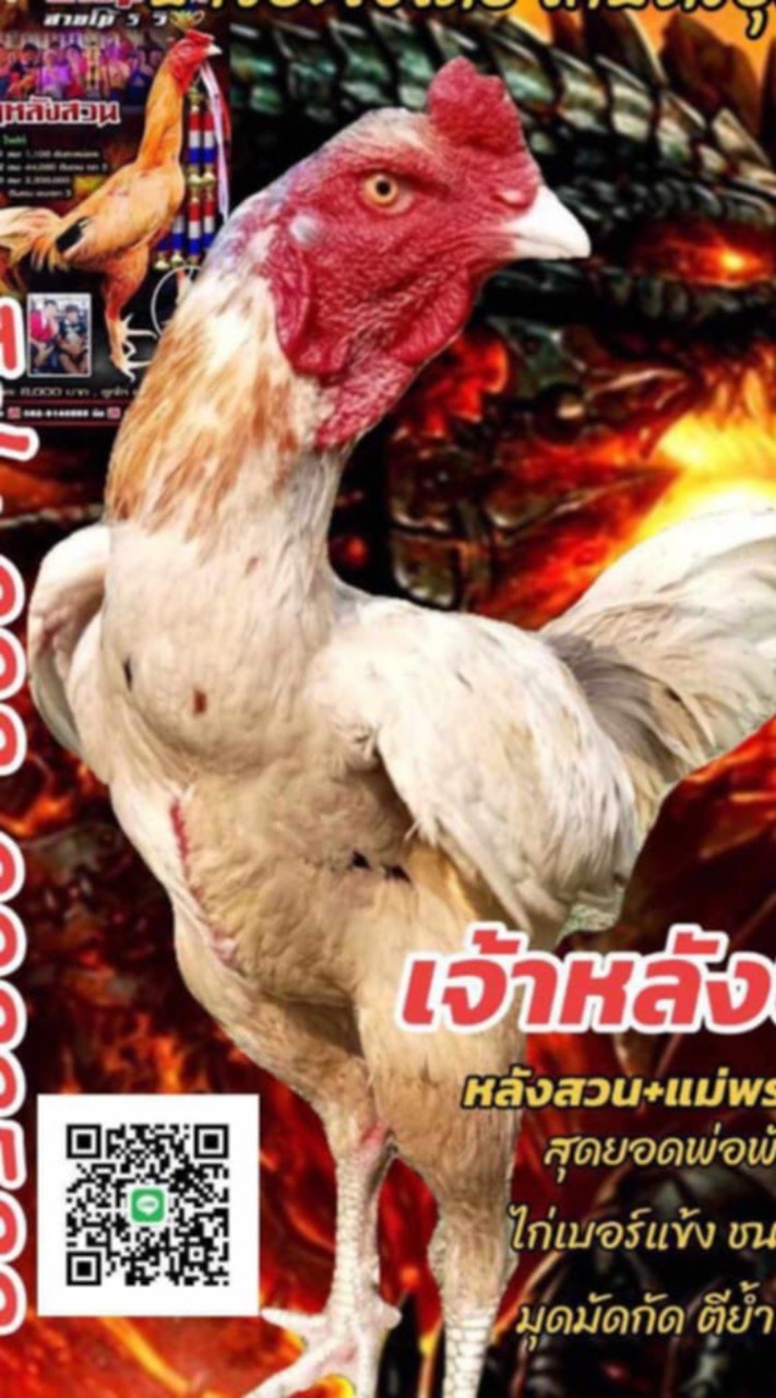 ซุ้มช.โชคเจริญทรัพย์88 ฟาร์ม