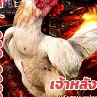 ซุ้มช.โชคเจริญทรัพย์88 ฟาร์ม