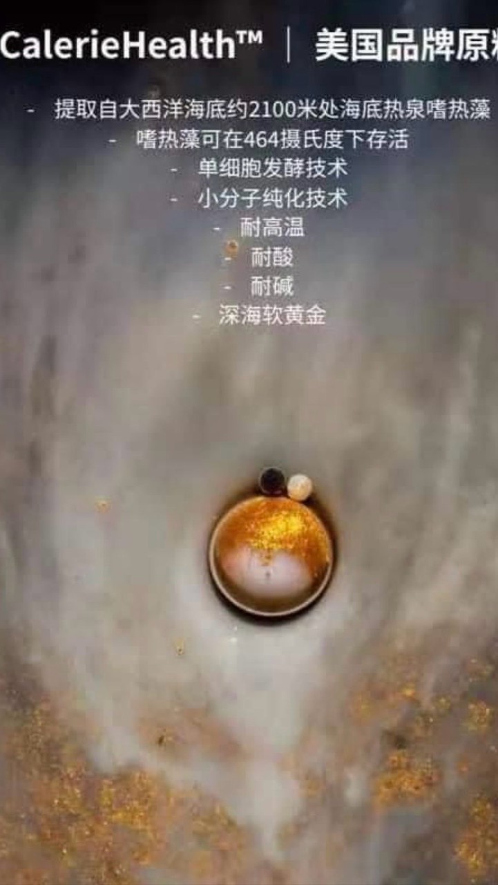 海底尋寶